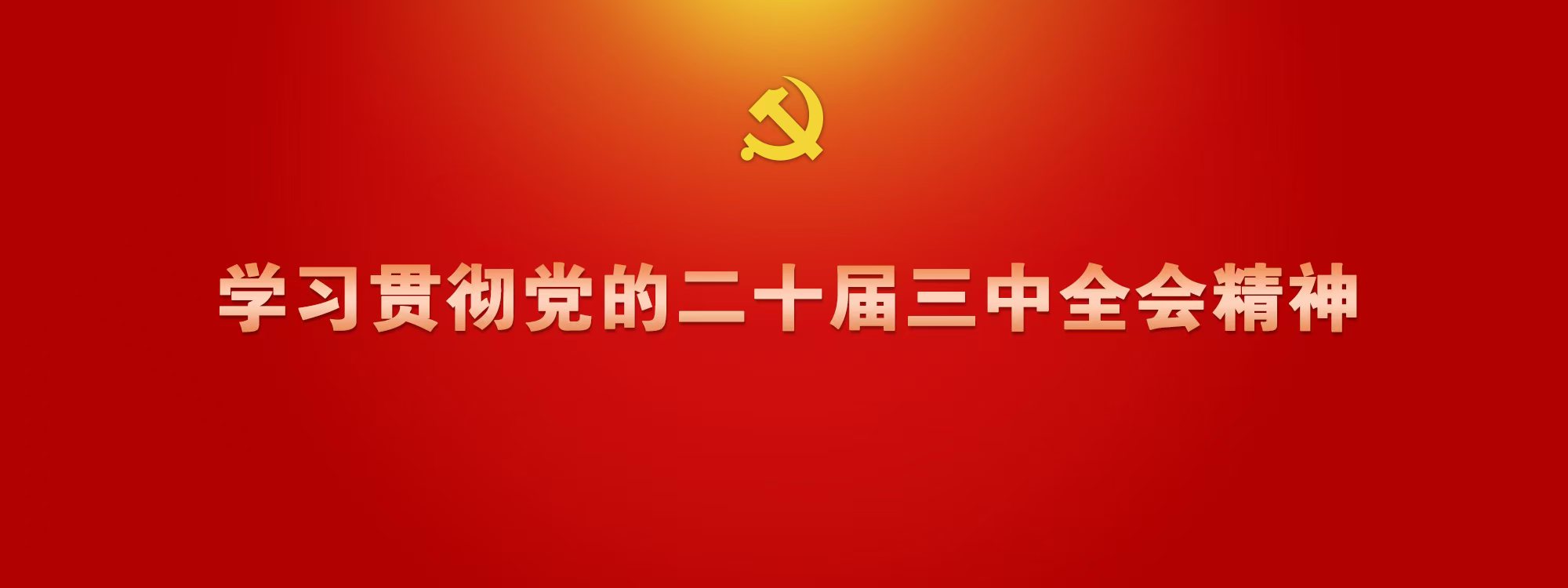 学习贯彻党的二十届三中全会精神