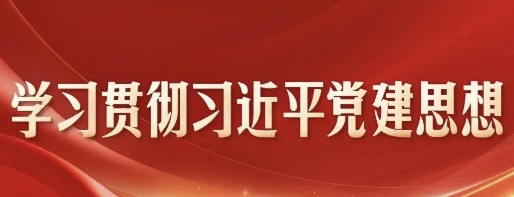 学习贯彻习近平党建思想